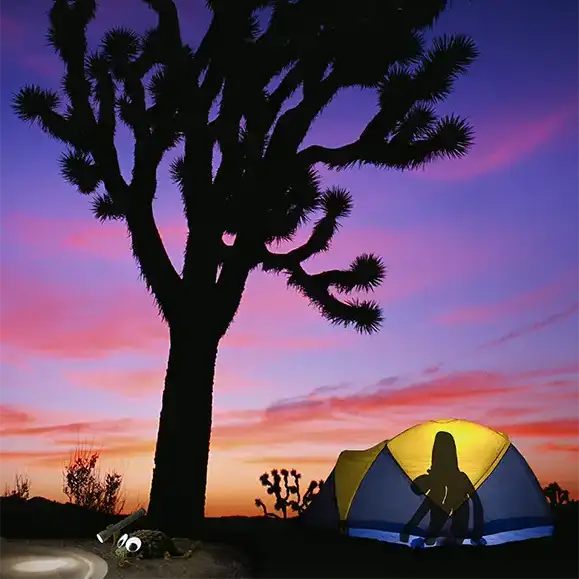 Zockly & Digster's National Park Adventure